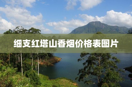 细支红塔山香烟价格表图片