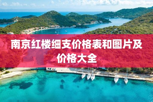 南京红楼细支价格表和图片及价格大全