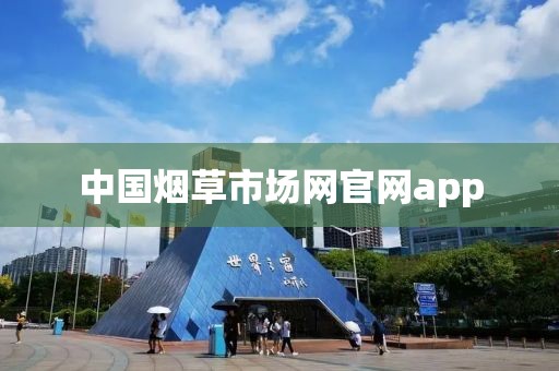 中国烟草市场网官网app