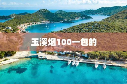 玉溪烟100一包的