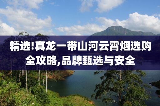 精选!真龙一带山河云霄烟选购全攻略,品牌甄选与安全