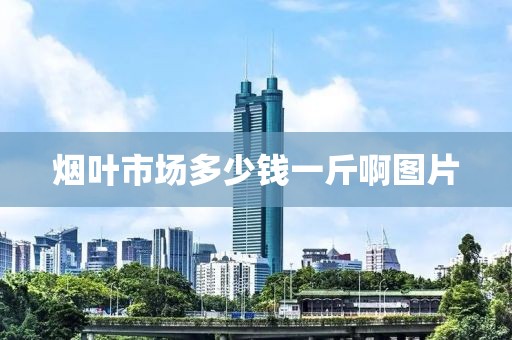 烟叶市场多少钱一斤啊图片