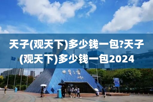 天子(观天下)多少钱一包?天子(观天下)多少钱一包2024