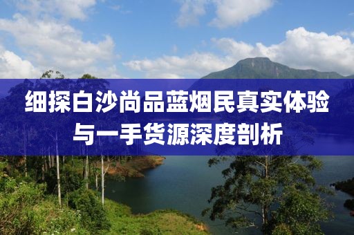 细探白沙尚品蓝烟民真实体验与一手货源深度剖析