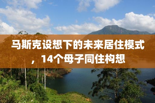 马斯克设想下的未来居住模式，14个母子同住构想