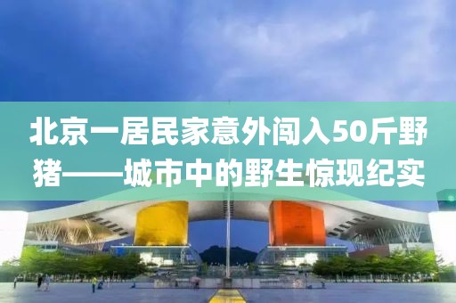 北京一居民家意外闯入50斤野猪——城市中的野生惊现纪实