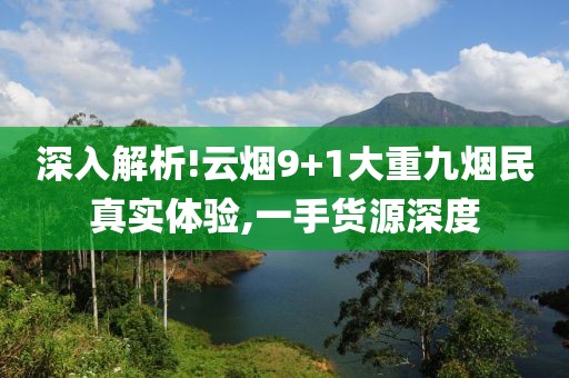 深入解析!云烟9+1大重九烟民真实体验,一手货源深度