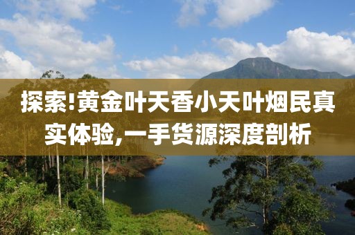 探索!黄金叶天香小天叶烟民真实体验,一手货源深度剖析