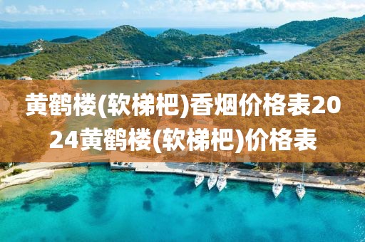 黄鹤楼(软梯杷)香烟价格表2024黄鹤楼(软梯杷)价格表