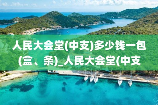 人民大会堂(中支)多少钱一包(盒、条)_人民大会堂(中支