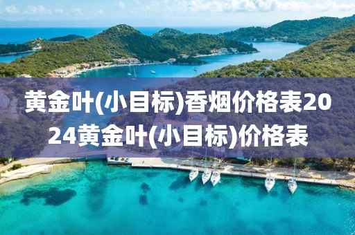 黄金叶(小目标)香烟价格表2024黄金叶(小目标)价格表