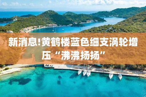 新消息!黄鹤楼蓝色细支涡轮增压“沸沸扬扬”