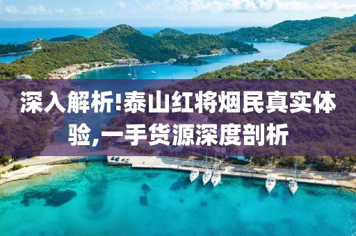 深入解析!泰山红将烟民真实体验,一手货源深度剖析