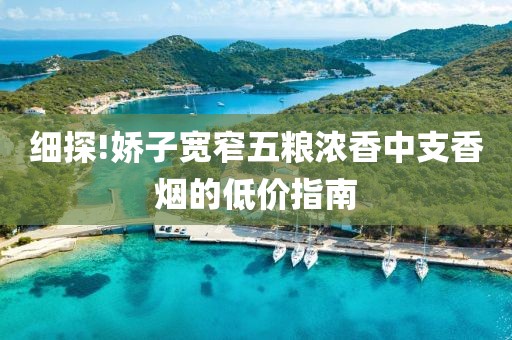 细探!娇子宽窄五粮浓香中支香烟的低价指南