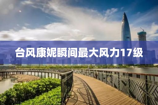 台风康妮瞬间最大风力17级