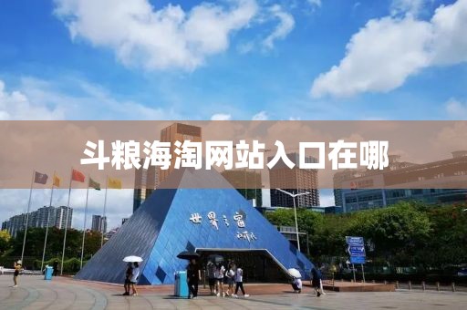 斗粮海淘网站入口在哪