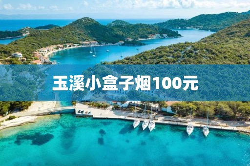 玉溪小盒子烟100元