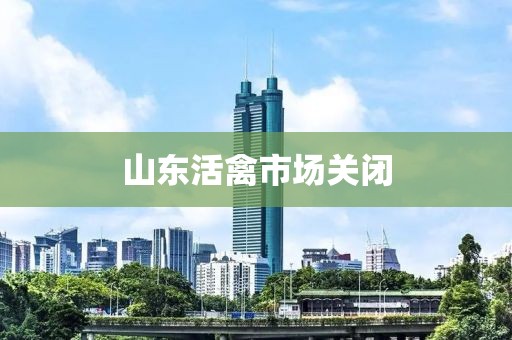 山东活禽市场关闭