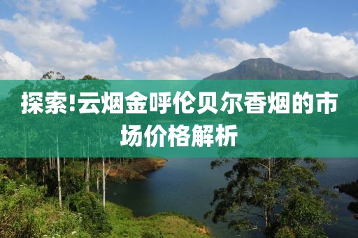 探索!云烟金呼伦贝尔香烟的市场价格解析