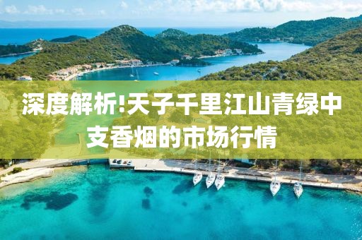 深度解析!天子千里江山青绿中支香烟的市场行情