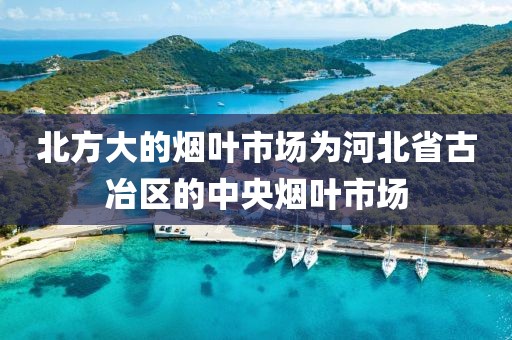 北方大的烟叶市场为河北省古冶区的中央烟叶市场