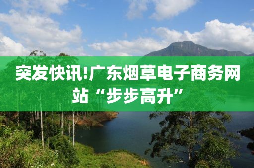 突发快讯!广东烟草电子商务网站“步步高升”