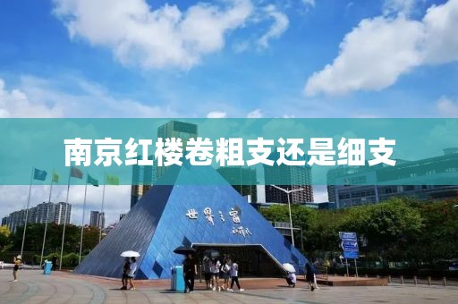 南京红楼卷粗支还是细支