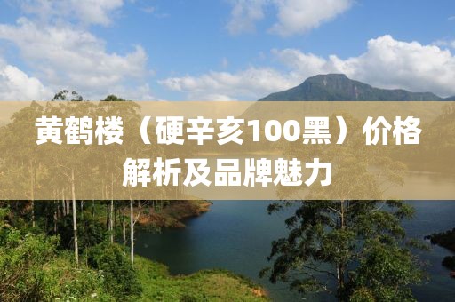 黄鹤楼（硬辛亥100黑）价格解析及品牌魅力