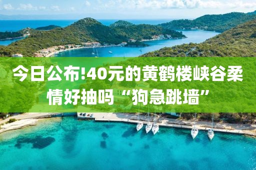 今日公布!40元的黄鹤楼峡谷柔情好抽吗“狗急跳墙”