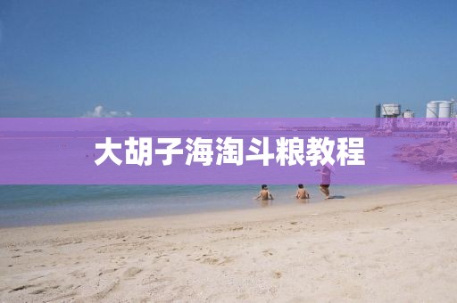 大胡子海淘斗粮教程