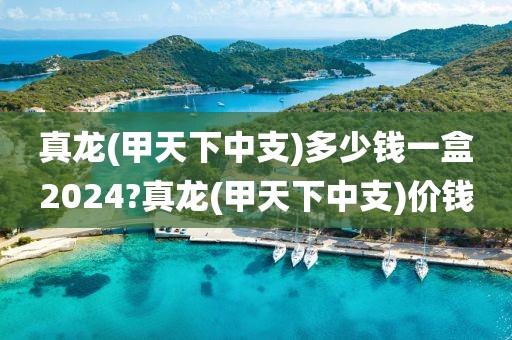 真龙(甲天下中支)多少钱一盒2024?真龙(甲天下中支)价钱