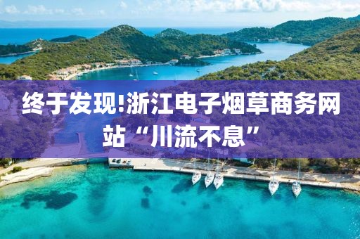 终于发现!浙江电子烟草商务网站“川流不息”