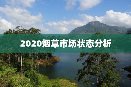 2020烟草市场状态分析