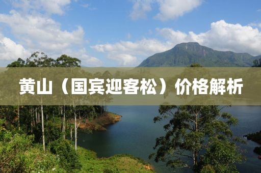 黄山（国宾迎客松）价格解析