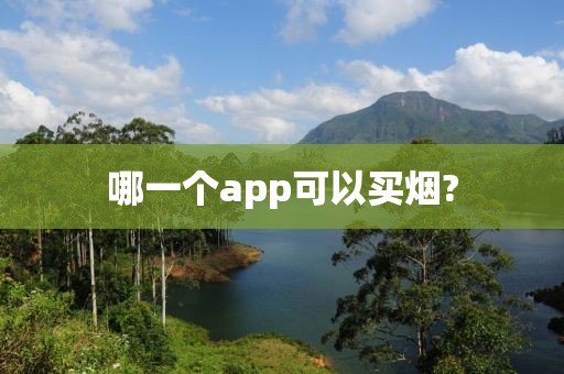 哪一个app可以买烟?