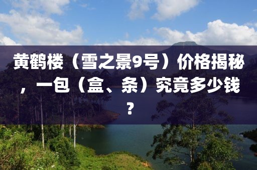 黄鹤楼（雪之景9号）价格揭秘，一包（盒、条）究竟多少钱？